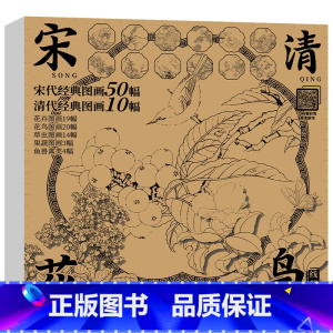 宋清花鸟白描底稿-60幅 [正版]中国画白描描摹本 工笔画白描底稿临摹画册 山水花鸟国画白描线稿 勾线笔控笔 描红拓印