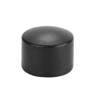 伟鹏双兴 PE承插热熔堵头管帽 公称内径25mm(6分) 个