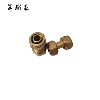 萃珑辰 铝塑管铜内丝直接 6分 个