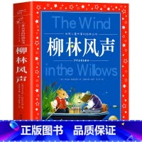 柳林风声 [正版]海豚童书 小王子书 注音版中文儿童绘本经典世界名着1-3年级小学生读物一年级二年级课外阅读带拼音的课外