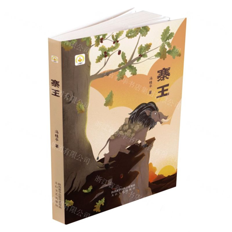 [N]寨王-9787551319508