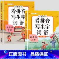 看拼音写词语上下册 五年级下 [正版]2023新版小学五年级上册语文数学同步训练全套人教版阅读理解专项训练书看拼音写词语
