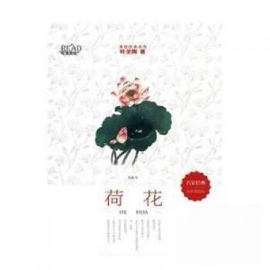 正版新书]荷花叶圣陶9787557547189
