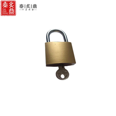 泰炙鼎 通用仿铜挂锁 32mm 个