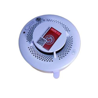 鑫睿辉 烟雾报警器 4G烟温一体 个