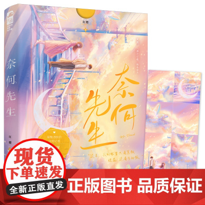 奈何先生 夏光 四川文艺出版社 正版书籍