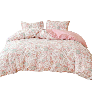 LA MAISON DE SASHA 磨毛纯棉四件套 保暖套件床单被套双面设计秋冬家用床品