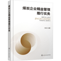 音像煤炭企业精益管理推行实务姚水洪 编著
