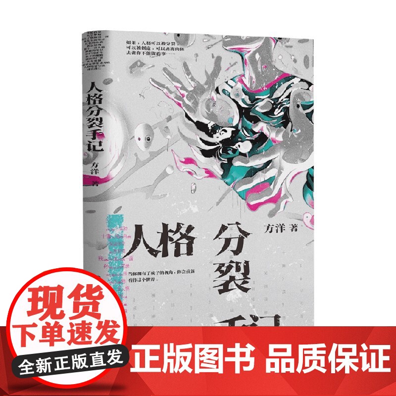 人格分裂手记 方洋 著 小说