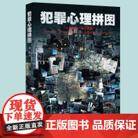 [团购优惠]新书 犯罪心理拼图 人心之暗,暗于深渊。视觉失能的他,如何冲破迷网,运用“心理拼图”追查连环杀人真凶