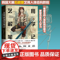 艺用解剖学笔记 韩国大触石政贤 伯里曼的黄金搭档 绘画理论图谱 人体结构素描教程人体肌肉李哲图书 北京科学技术出版社现