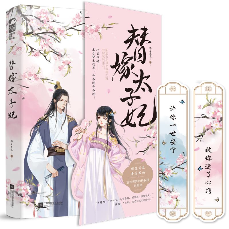 音像替嫁太子妃昨夜星辰