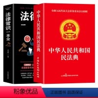 [正版]民法典2023年版+法律常识一本全 共2册 中国民法典理解与适用大全全套及相关司法解释汇编法律书籍民法典注释本