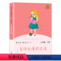 [正版](人教社)快乐读书吧-6年级(下)爱丽丝漫游奇境