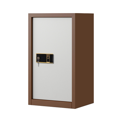 DXBG指纹电子保密柜钢制密码文件柜档案柜矮柜保密资料柜办公柜单门咖白钥匙指纹