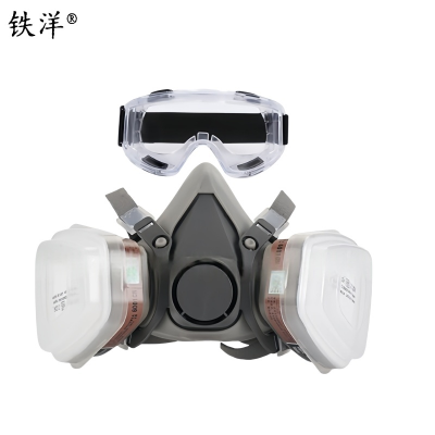 铁洋 呼吸防护面罩 TY-HX004 套
