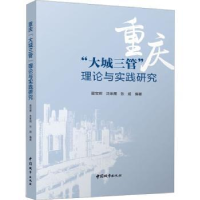 音像重庆“大城三管”理论与实践研究翟宝辉、沈体雁、张超