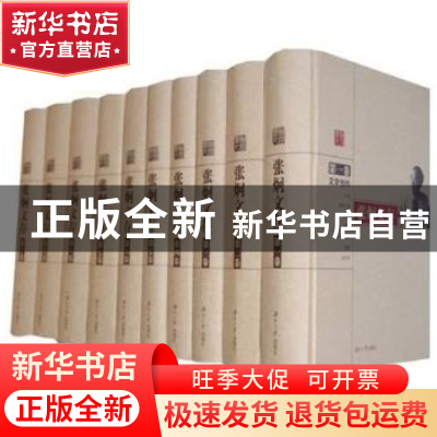 正版 张炯文存(全十册) 张炯著 湖南大学出版社 9787811137514 书