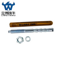 立伟铁牛倒锥化学锚栓M12X160/套