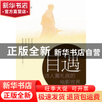 正版 目遇:诗人黄礼孩的电影世界 黄礼孩著 南方日报出版社 9787