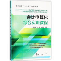 醉染图书会计电算化综合实训教程9787121355