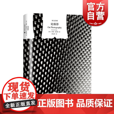 论摄影(精)/译文经典 [美]桑塔格著 论述摄影的经典著作 也是论述广泛意义上的现代文化的经典著作 黄灿然译 上海译文