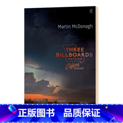 三块广告 [正版]灿烂千阳 英文原版小说 A Thousand Splendid Suns 英文版进口书The Kite