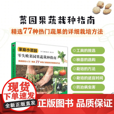 家庭小菜园 藤田智 著 家居