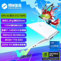 机械革命(MECHREVO)极光X 潮玩版 16英寸游戏本笔记本电脑 (i7-14650HX 16G 1T RTX5060 2.5K屏 300Hz 白)