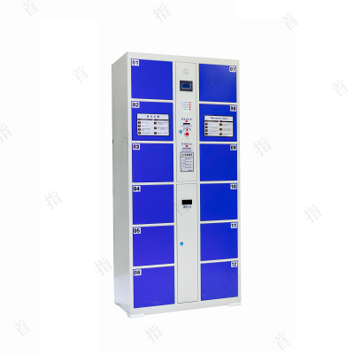 首指(SZ)铁皮柜/十二门存包柜CX-W-077