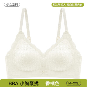 小清新风固定杯蕾丝内衣女小胸聚拢无钢圈收副乳软支撑少女文胸罩