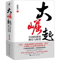 音像大崛起:中国经济的增长与转型赵燕菁