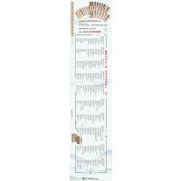 彩色放大本中国著名碑帖·龙门四品