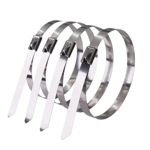 好企来 不锈钢扎带 BZ-0114 8*750mm 100条/包