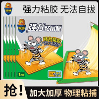 超威 粘鼠板强力胶粘大老鼠加厚加大宿舍家用沾捉抓老鼠贴 10张装
