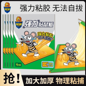 超威 粘鼠板强力胶粘大老鼠加厚加大宿舍家用沾捉抓老鼠贴 10张装