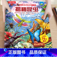 26.揭秘昆虫 [正版]揭秘系列儿童翻翻书3-6-8-12岁以上太空海洋恐龙人体汽车火车飞机绘本3d立体科普大小百科全书