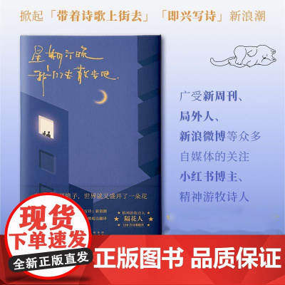 星期六晚我们去散步吧 隔花人著 小红书博主青年诗人 带着诗歌上街去 即兴写诗 隔花人写下当下年轻人的内心问题人生困惑