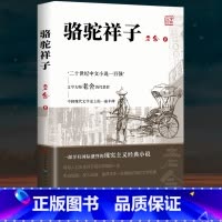 [人民文学]骆驼祥子 [正版]完整无删减海底两万里七年级必读书原著骆驼祥子原著凡尔纳原版全译小学版初中生课外阅读书籍初中