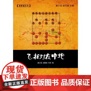 飞相对左中炮