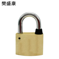 樊盛康 铜锁挂锁 40锁体20梁 把
