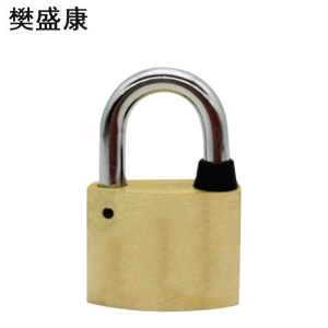 樊盛康 铜锁挂锁 40锁体20梁 把