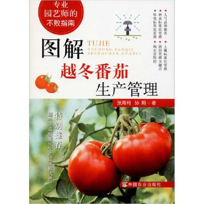 正版新书]图解越冬番茄生产管理张海利9787109263765
