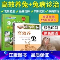 [正版]2册养兔书籍兔子养殖技术大全书兔病防治肉兔高效科学伊拉兔的诊治全套手册 教你如何病书类型野兔饲养管理书原色图书