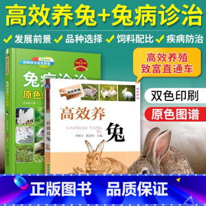 [正版]2册养兔书籍兔子养殖技术大全书兔病防治肉兔高效科学伊拉兔的诊治全套手册 教你如何病书类型野兔饲养管理书原色图书