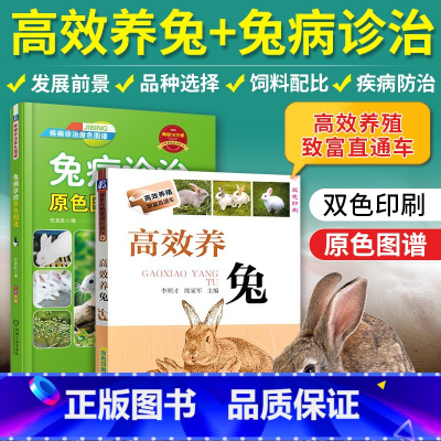[正版]2册养兔书籍兔子养殖技术大全书兔病防治肉兔高效科学伊拉兔的诊治全套手册 教你如何病书类型野兔饲养管理书原色图书