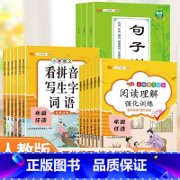 阅读理解强化训练 六年级上 [正版]看拼音写词语句子训练阅读理解小学1-6年级专项训练人教版阅读理解专项训练书拼音拼读练