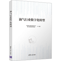 醉染图书油气行业数字化转型9787302570738