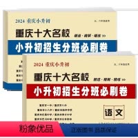 语文+数学2册.小升初招生分班必刷卷 小学升初中 [正版]24新版 小升初招生分班必刷卷 语文数学 重庆十大名校精选精解