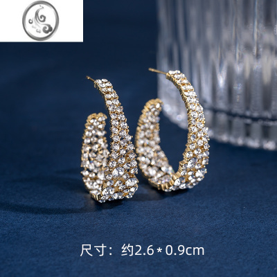 JiMi耳饰耳钉女银银耳坠大耳圈耳环2023新款小众设计感轻奢高级感